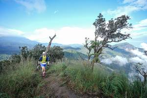 BIB: 
                            <button type="button" onclick="openModal(22371794)" class="btn btn-primary btn-sm float-right btn-popup" data-toggle="modal" data-target=".modal-high-quality">
                        <i class="fas fa-shopping-cart"></i> Add to Cart
                    </button>
                                            <button type="button" onclick="isThisMe(22371794, true)" class="btn btn-success btn-sm float-right btn-popup btn-isme hidden" data-toggle="tooltip" data-placement="bottom" title="นี่คือรูปของคุณใช่ไหม คลิกที่นี่เพื่อเอาเข้าอัลบั้ม">
                        <i class="fas fa-plus"></i> Add to album
                    </button>
                    <button type="button" onclick="isThisMe(22371794, false)" class="btn btn-warning btn-sm float-right btn-popup btn-isnotme hidden">
                        <i class="fas fa-ban"></i> Remove from album
                    </button>